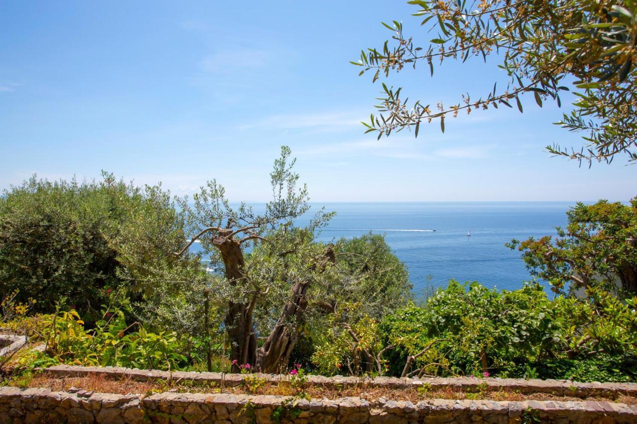 Villetta Cielo Blu Conca dei Marini Luaran gambar